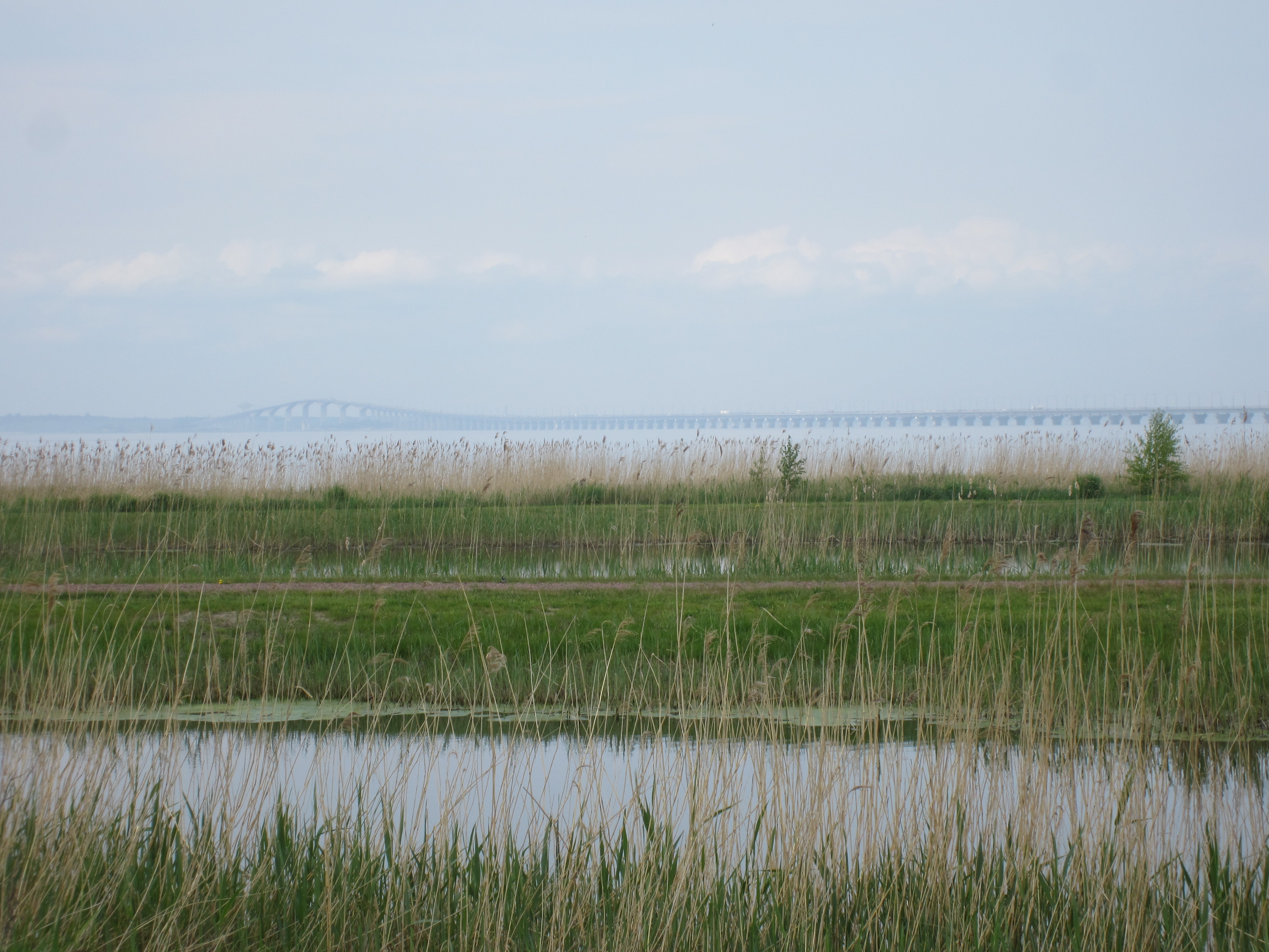 Sight from Öland to the bridge to Kalmar